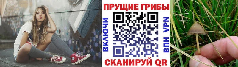 Псилоцибиновые грибы MAGIC MUSHROOMS  Спасск 